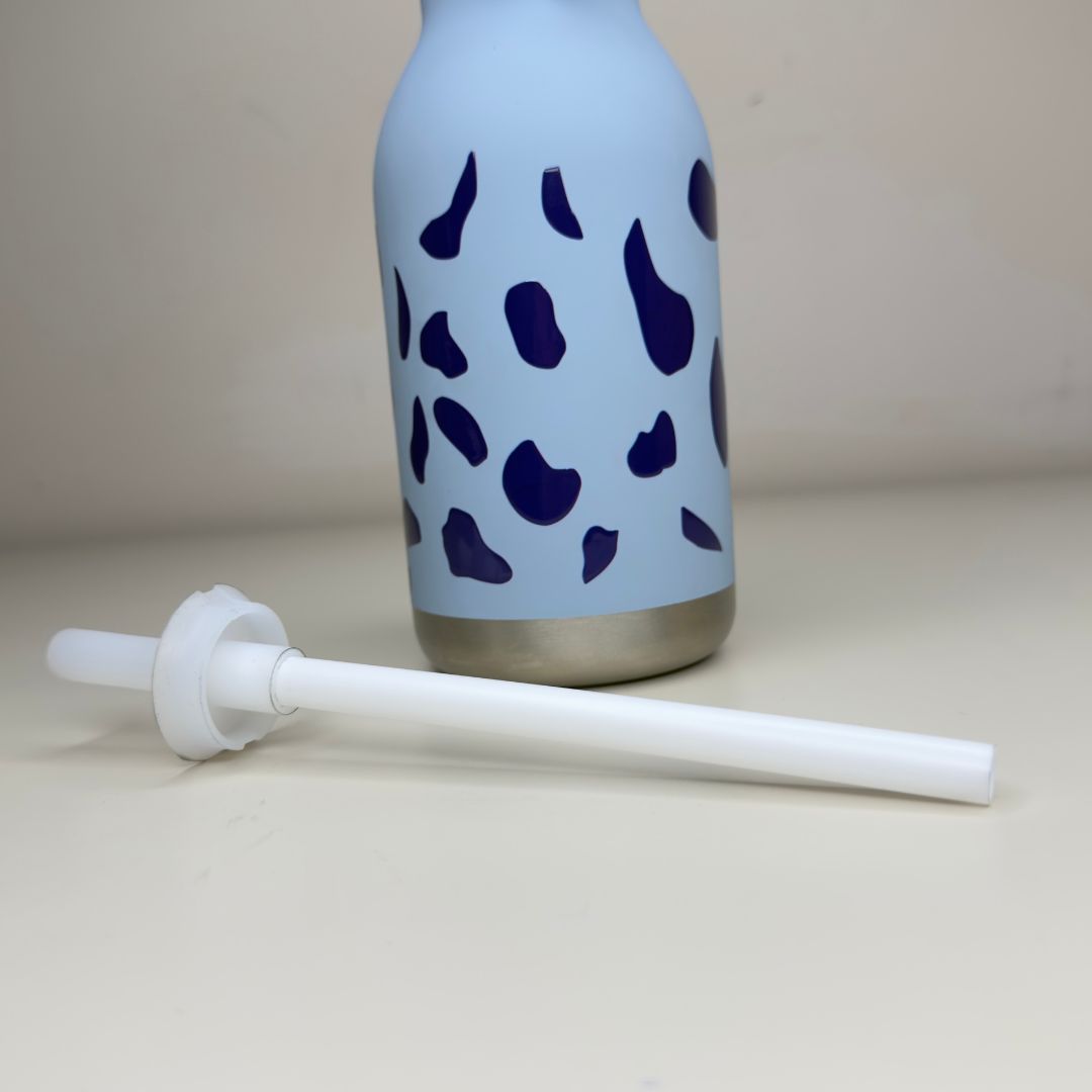 Stainless Steel Water Bottle with Straw & Removable Silicone Elephant Lid for Kids & Teens