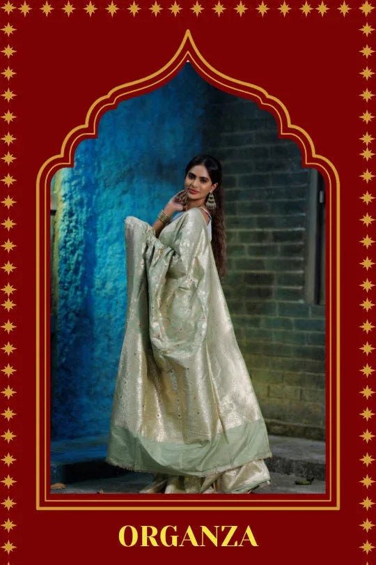 Buy Banarasi Organza Sarees Online - The Epitome of Ethereal Elegance - Baranashe