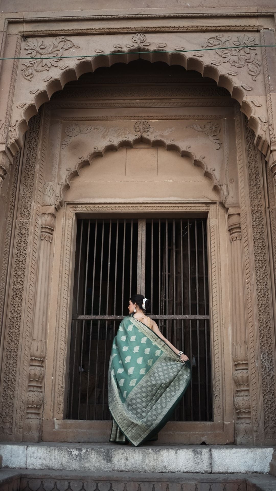 Vridhi – Sage Elegance in Silk