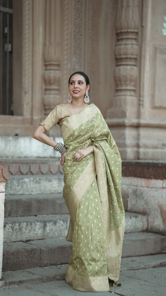 Banarashe Pure Silk Handloom Tanchoi Zari Booti Saree in Sage Green