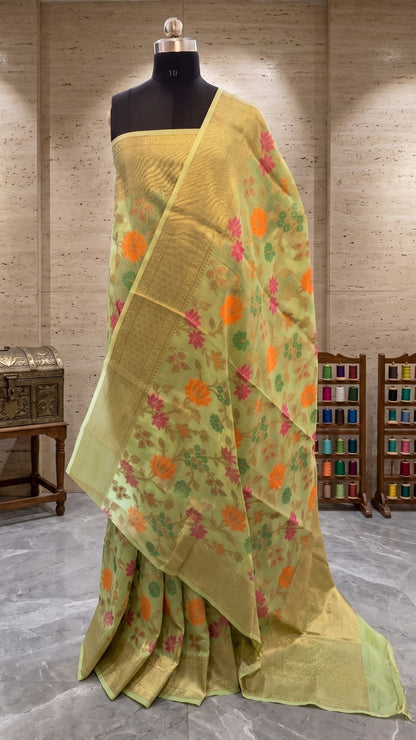 Meenakari Organza Banarasi Pista Green