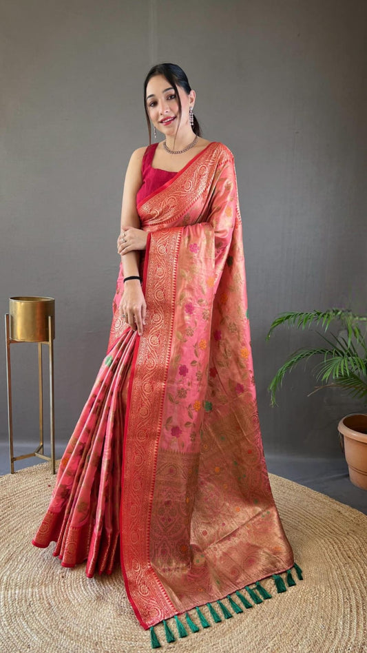 Organza Tissue Silk Saree with Sitara Jaal & Zari Border