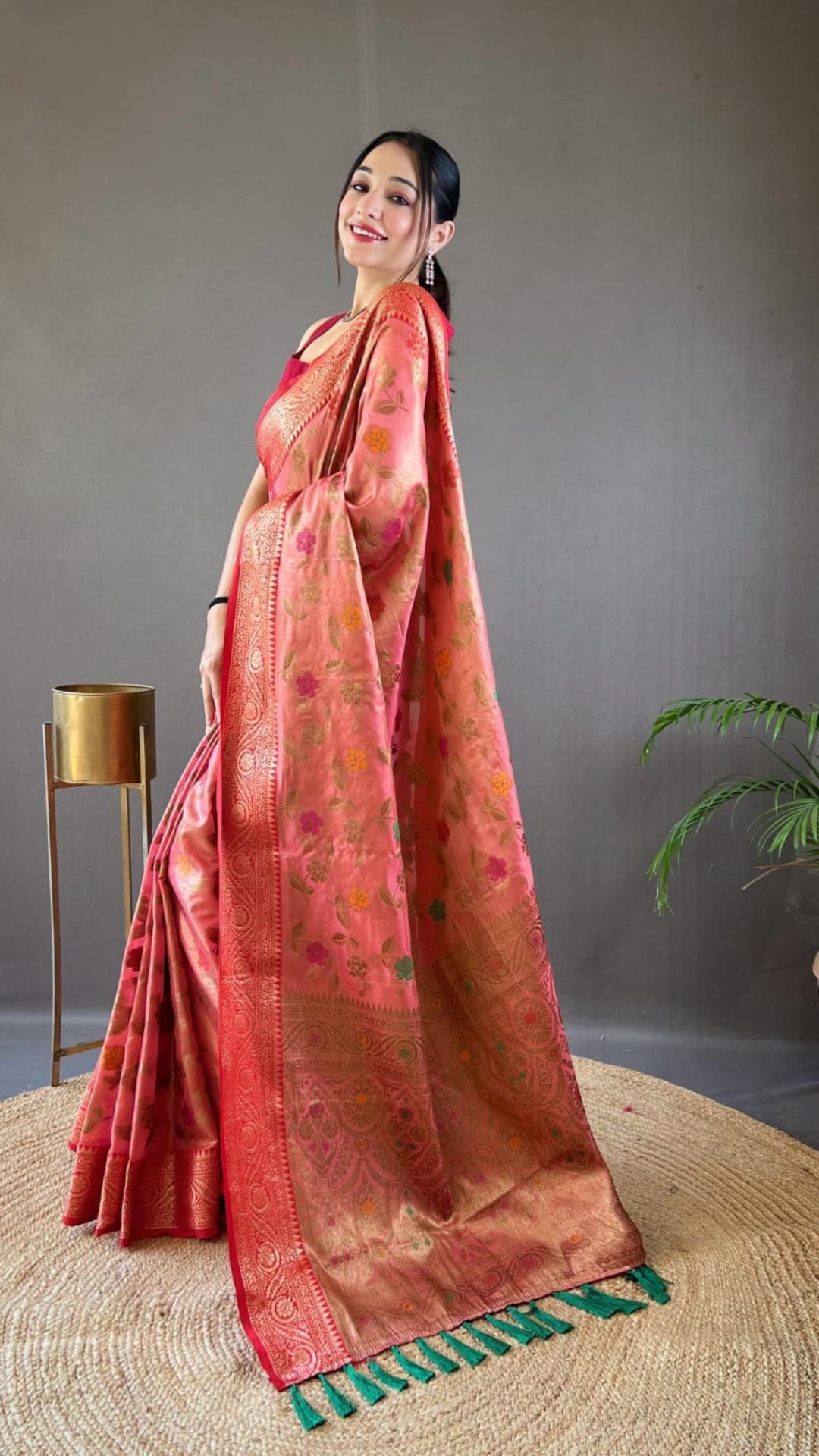 Organza Tissue Silk Saree with Sitara Jaal & Zari Border