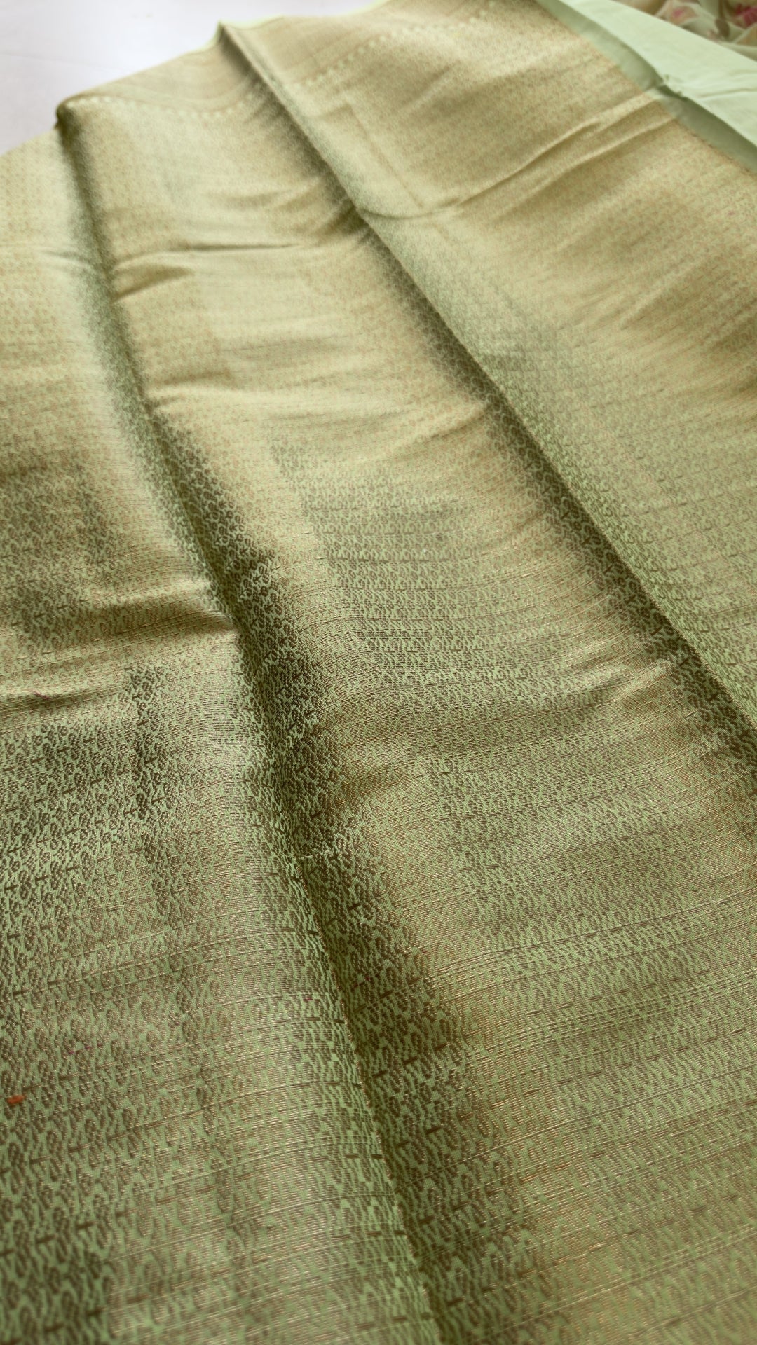 Meenakari Organza Banarasi Pista Green