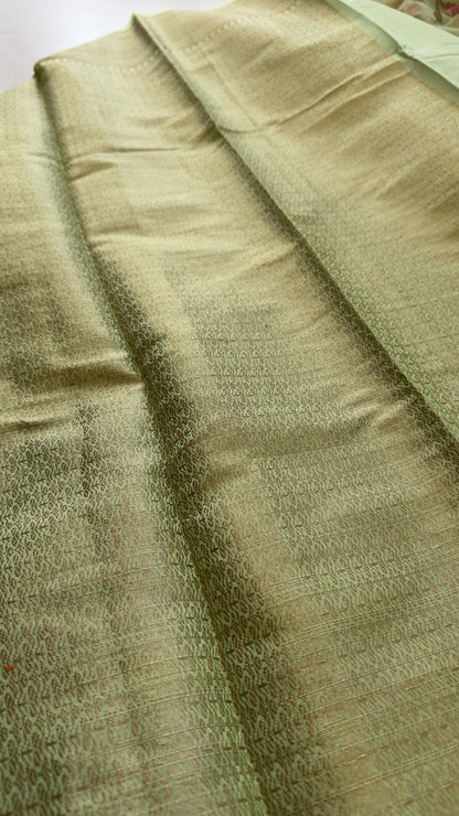 Meenakari Organza Banarasi Pista Green