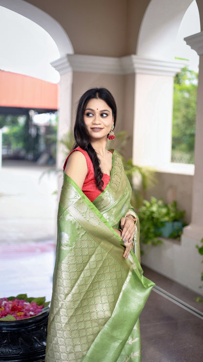 Parrot Green Katan Mashru Silk Saree