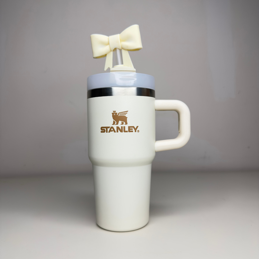 Stainless Steel Insulated Sipper Bottle with Handle & Straw | Leakproof Hot & Cold