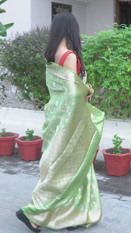 Parrot Green Katan Mashru Silk Saree